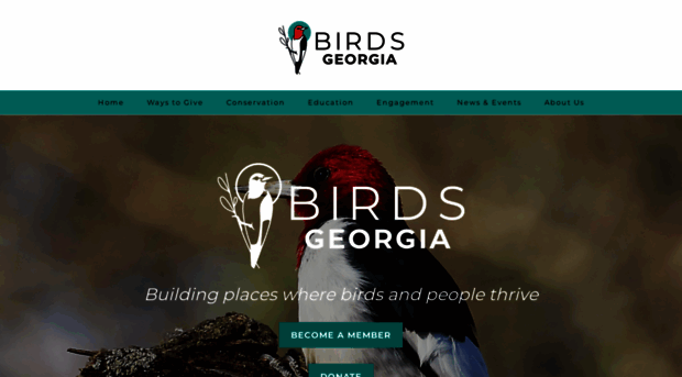 birdsgeorgia.org