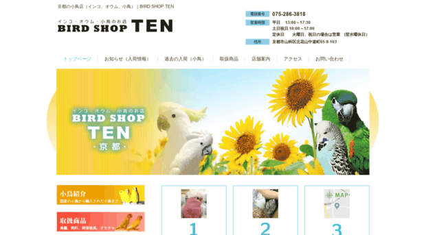 birdshop-ten.com