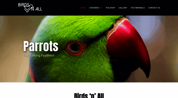 birdsnall.com
