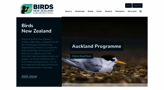 birdsnz.org.nz