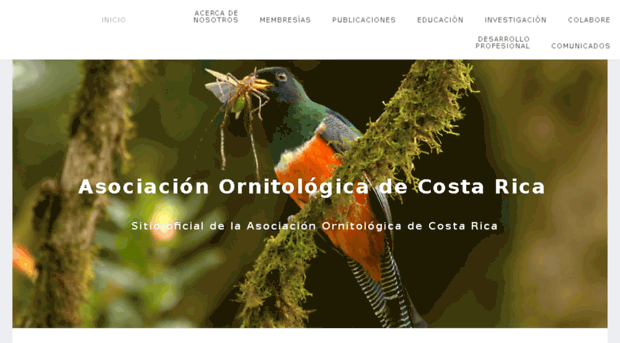 birdsofcostarica.org