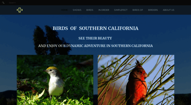 birdsofmurrieta.com