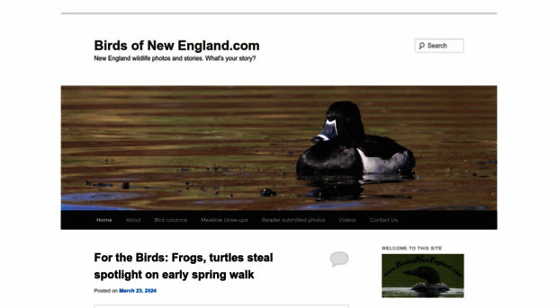 birdsofnewengland.com