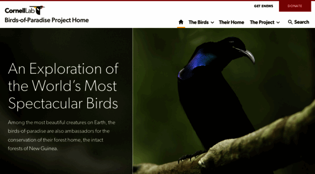 birdsofparadiseproject.org