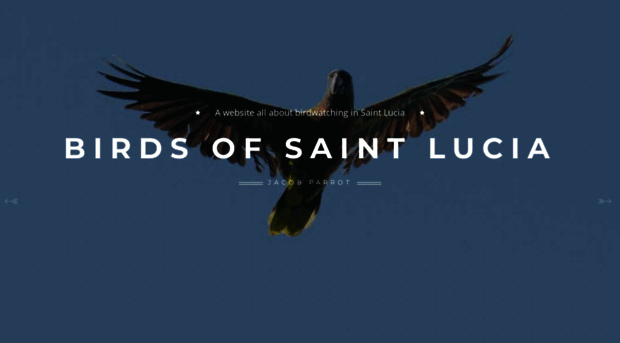 birdsofsaintlucia.com