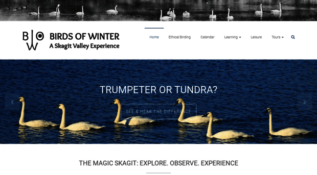 birdsofwinter.org