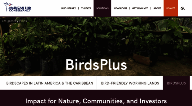 birdsplus.net