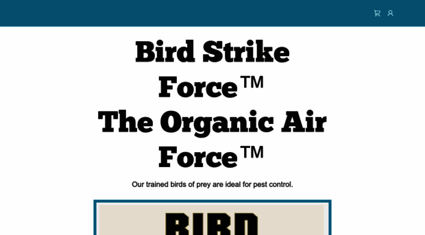 birdstrikeforce.com