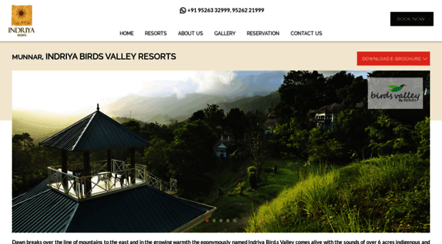 birdsvalley.com