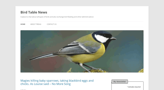 birdtablenews.com