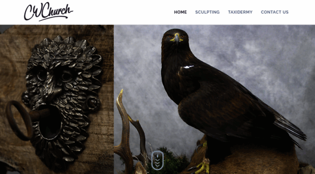 birdtaxidermy.co.uk