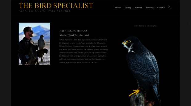 birdtaxidermy.com