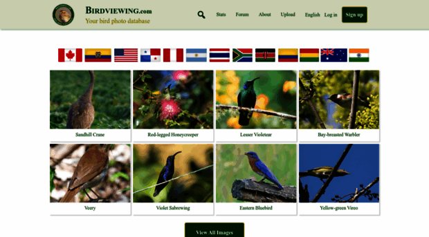 birdviewing.com