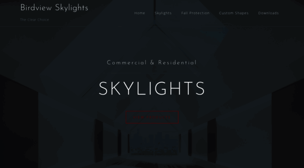 birdviewskylights.com