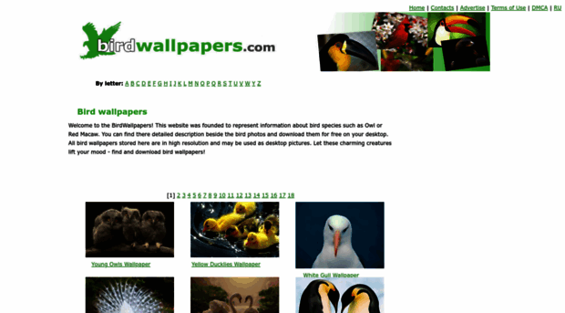 birdwallpapers.com