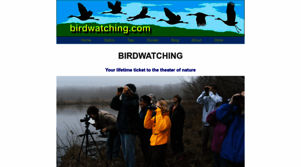 birdwatching.com