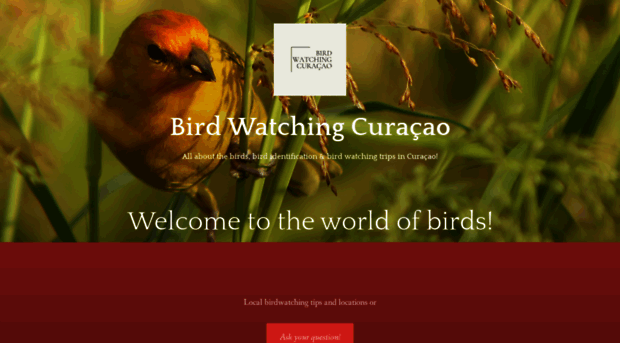 birdwatchingcuracao.com