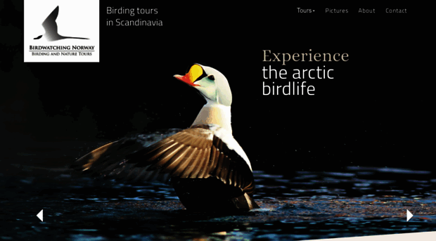 birdwatchingnorway.net
