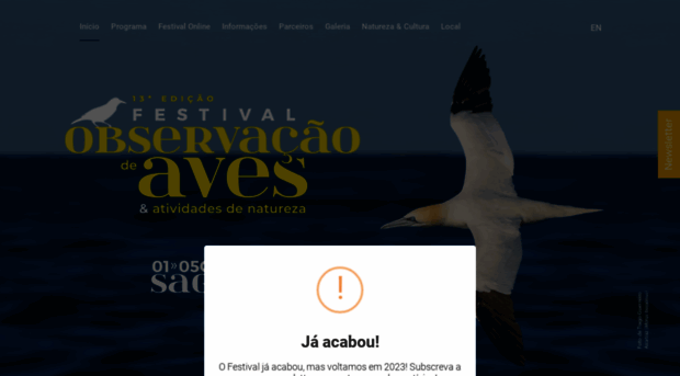 birdwatchingsagres.com