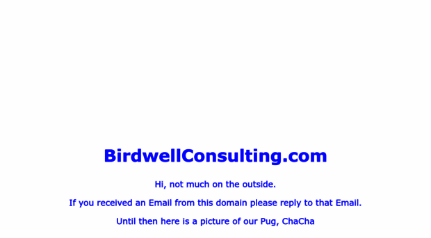 birdwellconsulting.com