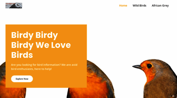 birdybirdybirdy.com