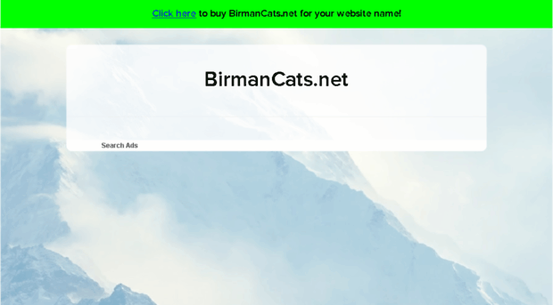 birmancats.net