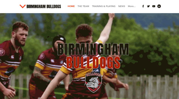 birminghambulldogs.co.uk