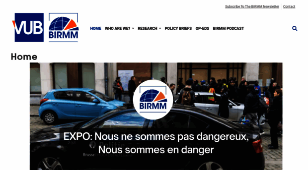 birmm.research.vub.be
