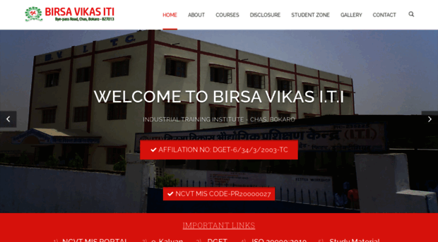 birsavikasiti.com