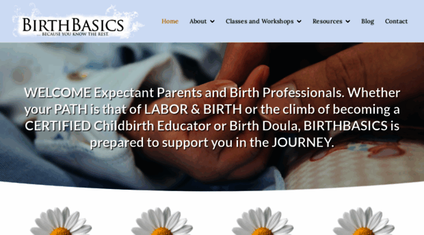 birthbasics.org