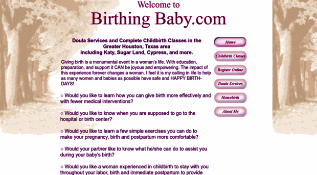 birthingbaby.com