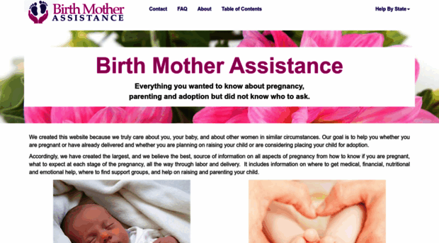 birthmotherassistance.com