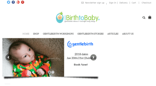 birthtobaby.ie