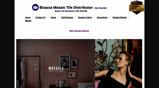 bisazzatile.com