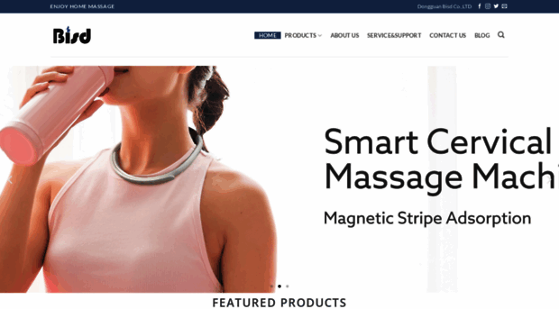 bisdmassage.com