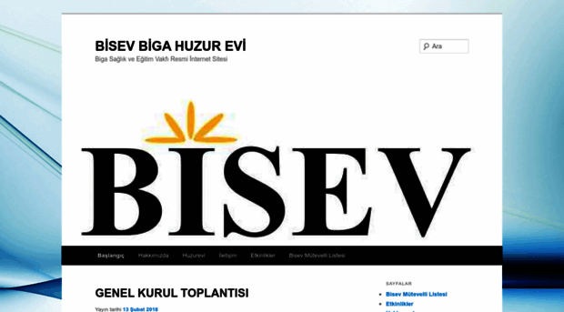 bisev.org.tr