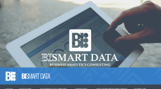 bismart-data.com
