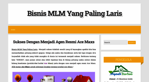 bisnismlmyangpalinglaris.blogspot.com