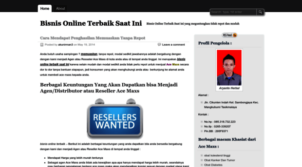 bisnisonlineterbaiksaatini.wordpress.com