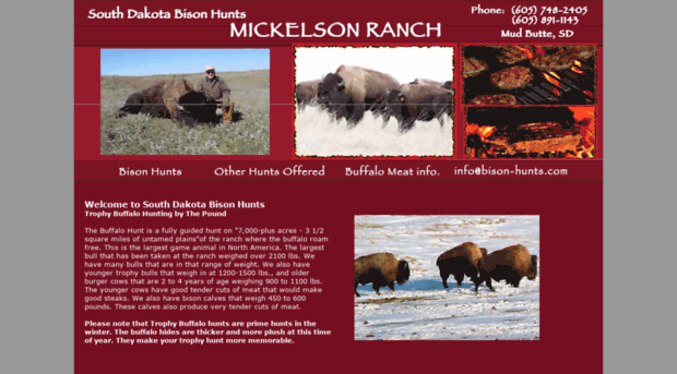 bison-hunts.com