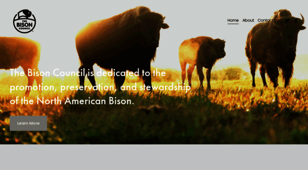 bisoncouncil.com