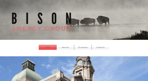 bisonenergygroup.com