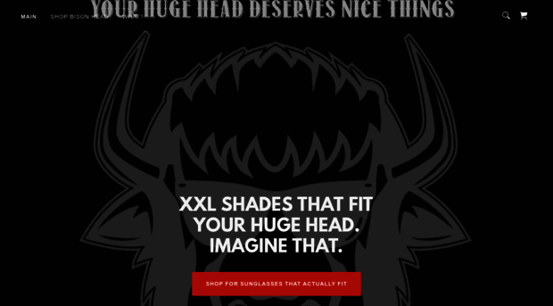 bisonheadsunglasses.com