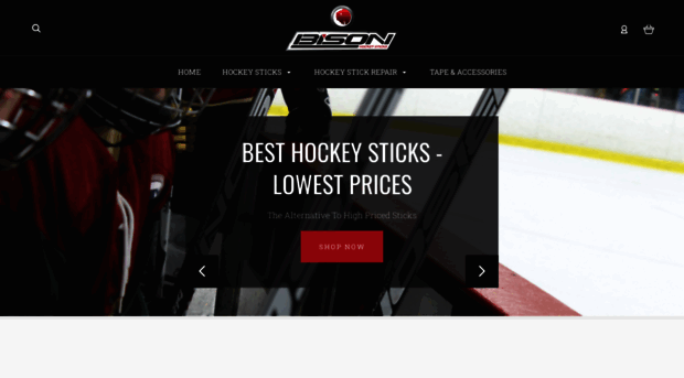 bisonhockeysticks.com