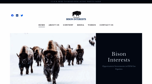 bisoninterests.com