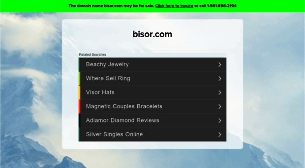 bisor.com