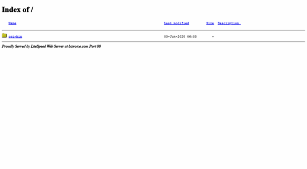 bisvoice.com