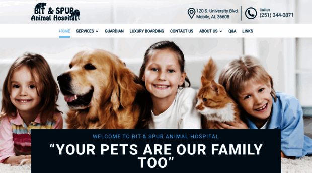 bitandspuranimalhospital.com