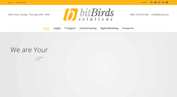 bitbirds.com