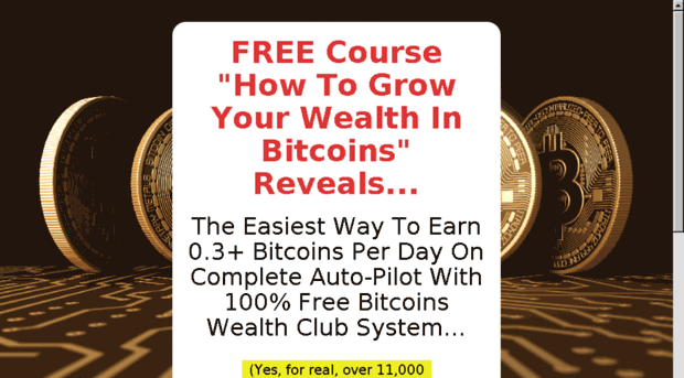 bitcoincourse.online